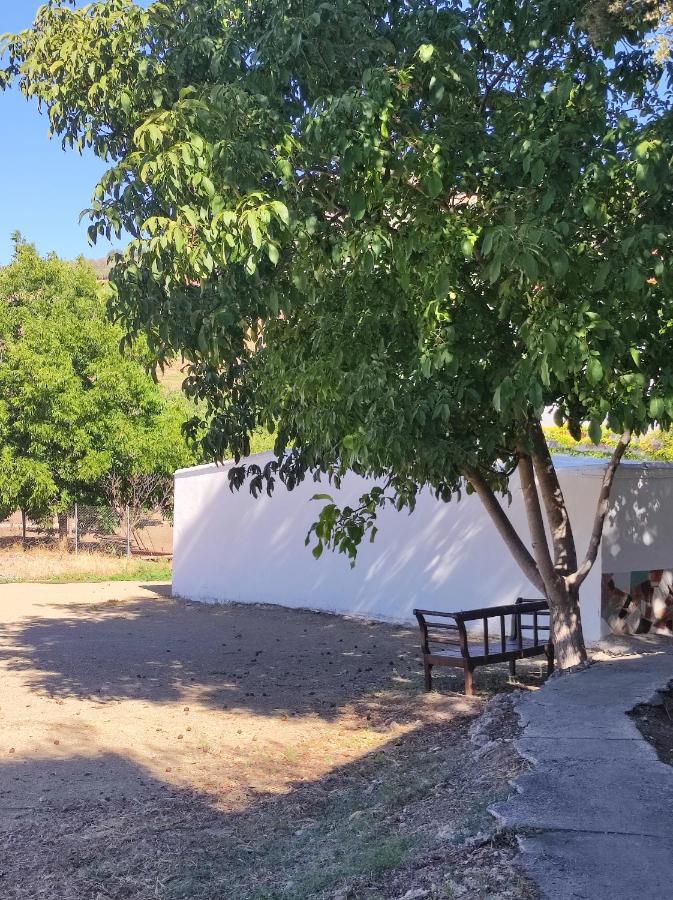 Alojamiento Rural Huerta Mandre Cuevas del Becerro Exteriör bild